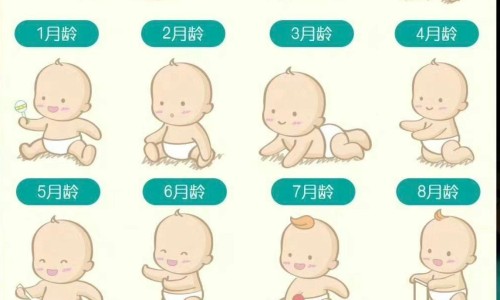 天津格林国际幼儿园学费-药用动物养殖的方法不包括-药用动养殖有哪些项目,中国药用动物养殖的方法网站
