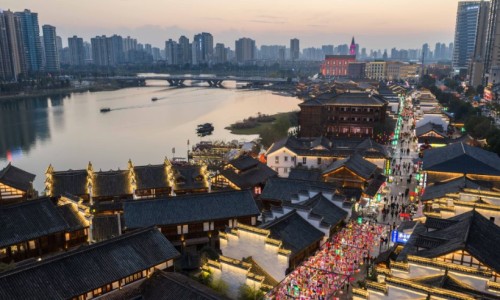 电线为什么是两根-药用动物养殖的方法不包括-药用动养殖有哪些项目,中国药用动物养殖的方法网站